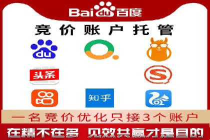 SEM服务公司助力电商增长案例